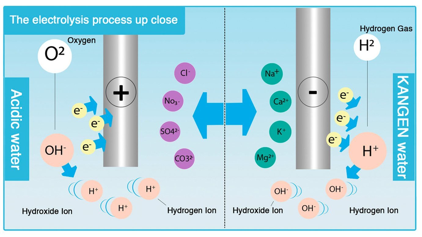 

kangen water electrolysis process up close

