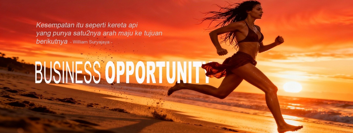 Video Business Opportunity
