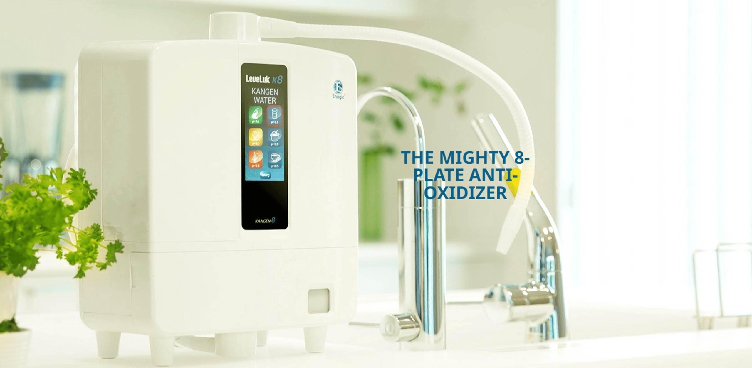 Leveluk K8 Kangen Water