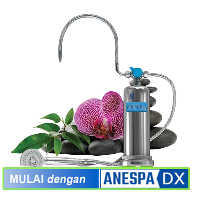 

Anespa DX

