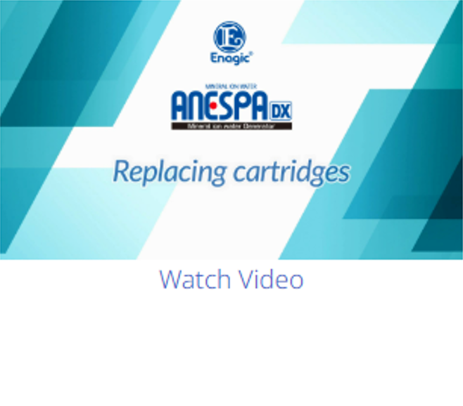 ANESPA 4