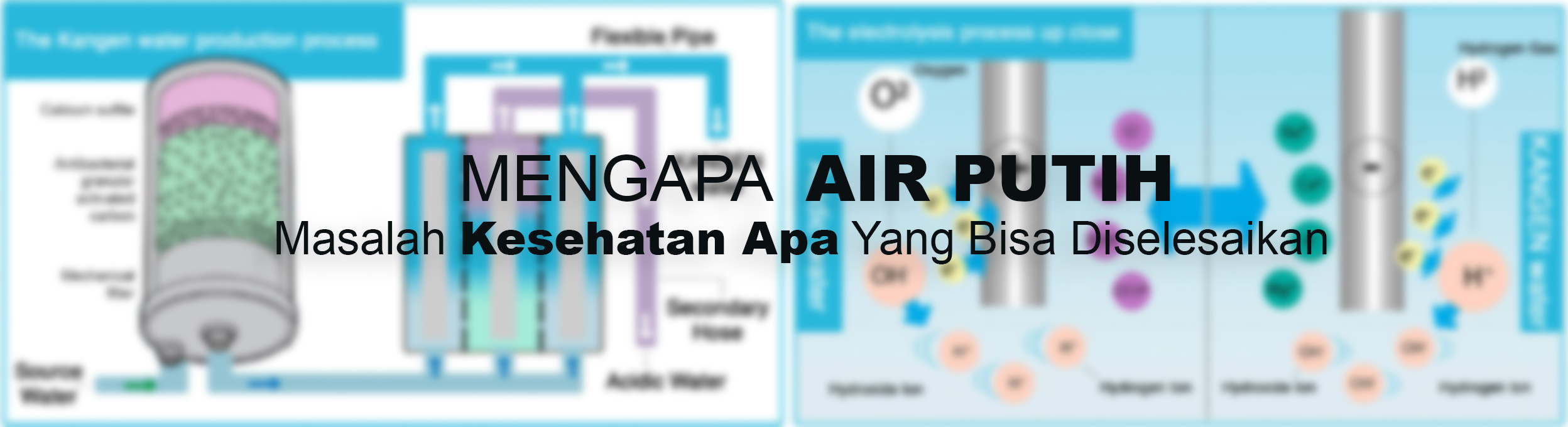 Mengapa Air Putih Hero

