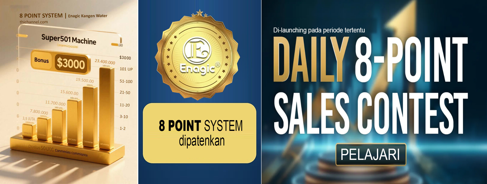 8 Point System Enagic