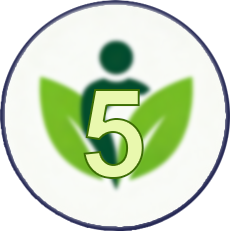 

UMKM 5 Logo

