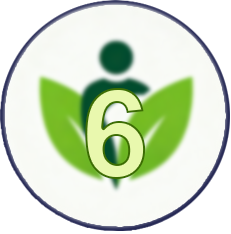 

UMKM 6 Logo

